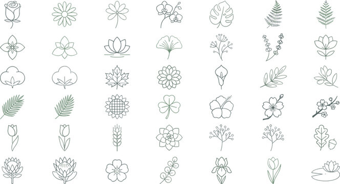 Minimalist Floral and Botanical Line Art Icon Set with Elegant Flowers Monstera Leaves Ferns and Blossoms for Beauty Branding Wedding Stationery and Logo Designs