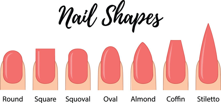 Vector illustration of various nail shapes including round, square, squoval, oval, almond, coffin, and stiletto styles, ideal for beauty salons, manicure guides, and cosmetic branding.
