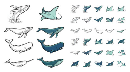 Whale and Manta Ray Illustrations - Ocean Wildlife Collection © siti