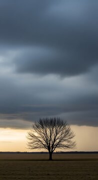 Solitary Leafless Tree Standing Beneath Dark Storm Clouds in Open Field at Dusk