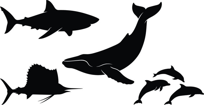 Marine Life Sea Animals Black Silhouette Vector Set Featuring Humpback Whale Great White Shark Jumping Dolphins and Sailfish for Ocean Conservation Designs