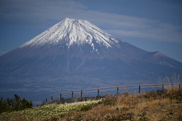Obraz premium 富士山の見える公園