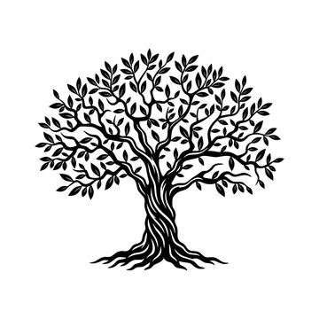 Olive tree black silhouette icon isolated on white background. Modern vector sign for natural organic food packaging. Premium quality illustration olive oil logo design concept pictogram.
