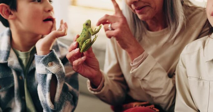 Kids, grandmother and learning with frog in hands, bonding together and development at home. Grandparent, boy and miniature toy in apartment for animal facts, education and talking with family