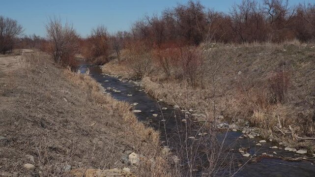Early spring, dry grass and dead trees, low water running through an abandoned irrigation canal in farmland, cool sunny day