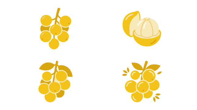 Collection of four flat yellow fruit icons in a 2x2 grid: whole duku fruit cluster, peeled duku, whole langsat cluster, and celery-scented langsat with leaves