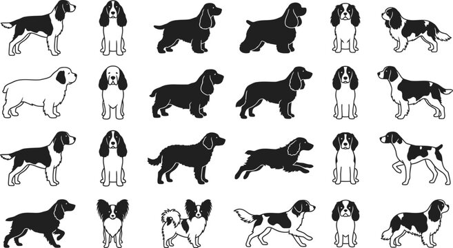 Professional vector icon set of spaniel dog breeds in various poses and silhouettes for veterinary branding
