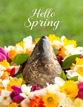 Decorative Fish Head Surrounded by Colorful Spring Flowers on Green Background