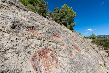 Titanosaur footprints from Orcau, Sauropod site, Pallars Jussà, Lleida, Catalonia, Spain © Tolo