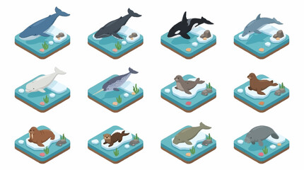 Colorful Isometric Whale and Dolphin Collection. © Lucas