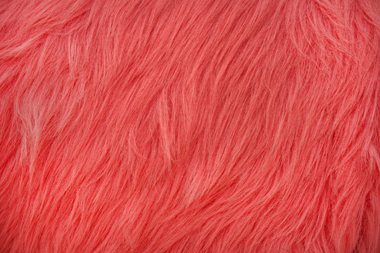 Bright pink fur fabric with long hair is spread out flat for crafting or design purposes