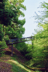 Naklejka premium Bridge, forest, trees, green, footbridge, foliage - Narrow metal footbridge crossing a shaded woodland ravine, lush green trees and leafy undergrowth on a peaceful trail in spring light.