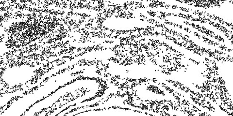 Monochrome vector abstract topography line texture. Black grunge contour lines on white background, design element mimicking geographic terrain or wind. © Arina Color