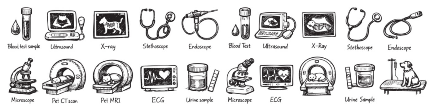 Various hand-drawn black and white veterinary diagnostic tools and procedures are neatly arranged on a clean white background