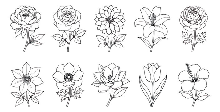 Minimalist botanical line art collection, 10 floral vector icons with rose and lily, black and white hand drawn flower sketches for wedding stationery
