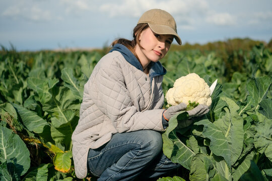 A teen girl crouches holding cauliflower in a green field, examining the harvest with curious wonder. The gardener explores organic produce on agricultural land, discovering nature outdoors.