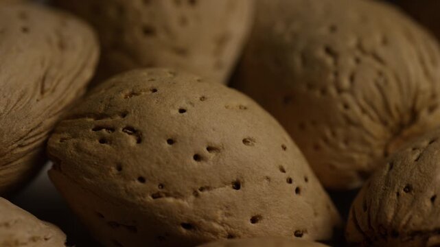 Close up of organic almonds in their shells resting together in a soft warm light studio setting