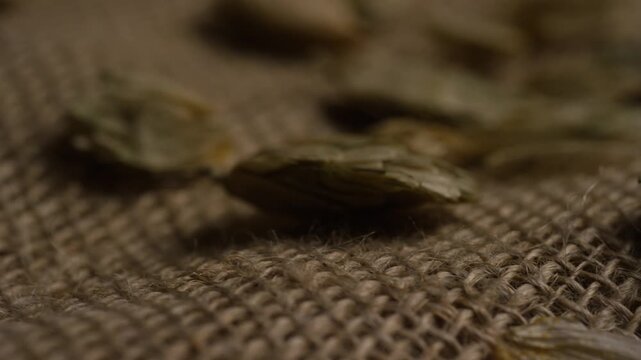 Dried organic hop cones resting on textured burlap fabric captured in a close up cinematic macro shot