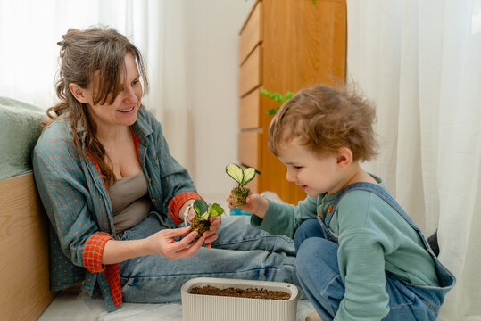 Mother and toddler sharing a playful moment with a potted plant in a bright modern living room. Warm gardener guiding little explorer to touch indoor plant leaves with cheerful trust on floor.