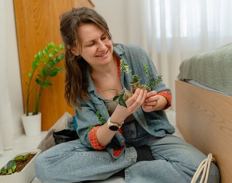 Woman sitting on a wooden floor examining a potted plant with leaves in a well-lit room. Contemplative gardener observing and nurturing indoor seedling with curious mindful attention at home.