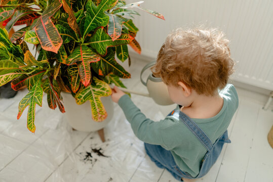 A curious toddler examines a potted plant and croton with a trowel on a bright white floor. The wondering child touches leaves and foliage discovering indoor greenery in a calm organized home.