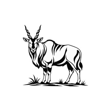 Common Eland Vectorr