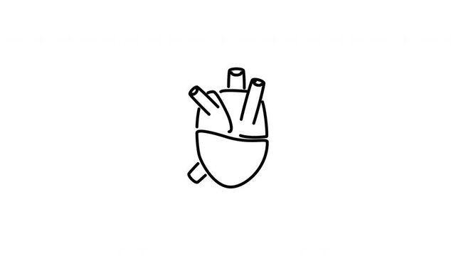 Minimalist outline animation of a realistic human heart internal organ structure drawing on and fading out. Features a clean pop up style in 3 color setups.