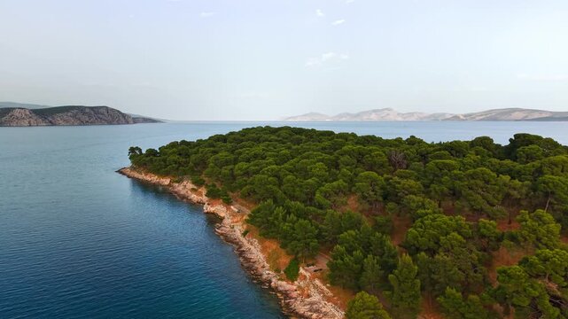 Lush tree canopy of the Ermioni peninsula in Peloponnese, Greece, looking out toward the calm evening sea horizon