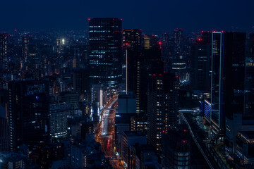 Fototapeta premium Aerial night view of Tokyo Cityscape and Tokyo sky tree from Tokyo Tower Special observation room