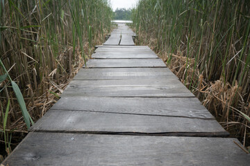 Obraz premium Wooden pier leading to a fishing spot. 