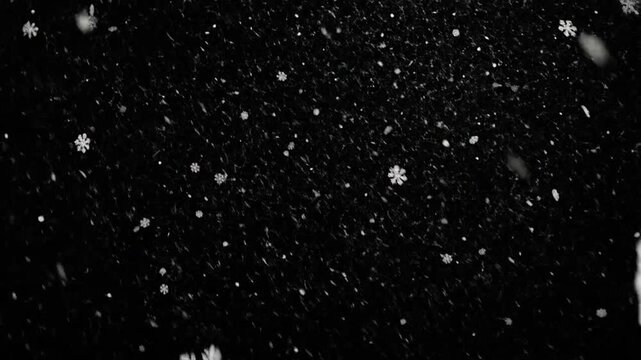 White snowflakes falling against a dark black background