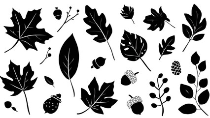Autumn leaves silhouette vector set with oak maple branch and acorn collection isolated on white background for design © Sakhawat Hossen 