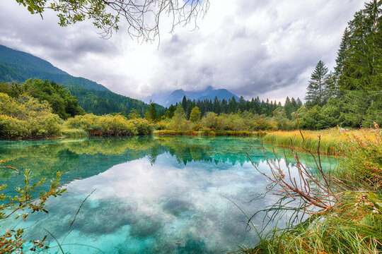 Gorgeous summer view on Zelenci lake with beautiful reflections in water.