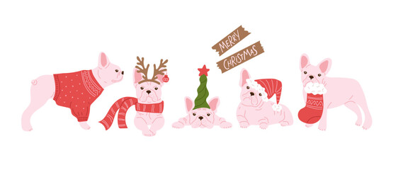 French bulldogs dressed in Christmas sweaters and scarves with reindeer antlers and Canta hat in front view, joyful and festive holiday cards and Pet products advertising, vibrant pink, red. © Елена Кутузова