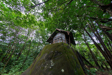 Small wooden cabin built atop massive mossy boulder in forest © wannasak