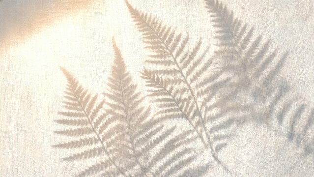 Fern leaf shadows on textured fabric
