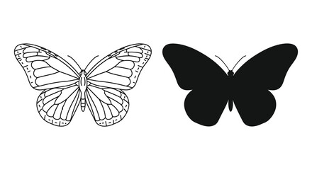 Two butterflies one detailed line drawing and one black silhouette butterfly © Lamiya Khanom