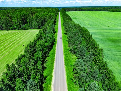 Straight asphalt road bordered by dense greenery leading through lush fields and forested area