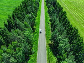 Naklejka premium Tree-lined highway featuring a compact car driving through lush green fields and forests