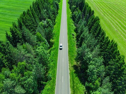 Tree-lined highway featuring a compact car driving through lush green fields and forests