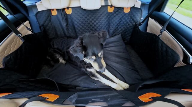 Dog resting comfortably on a quilted backseat cover in a moving vehicle during a sunny day