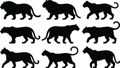Obraz premium Nine black silhouette lion and lioness figures in various poses