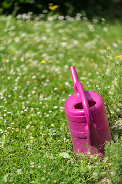 Eine lila Gie&szlig;kanne aus Plastik