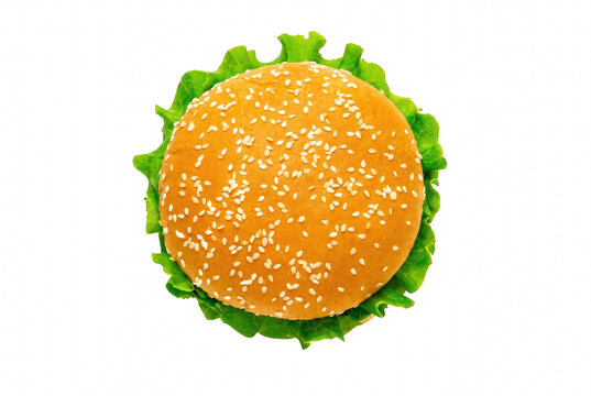 Top Down View of Fresh Sesame Seed Bun with Green Lettuce