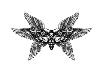 Fototapeta premium Vintage Fallen Angel Lucifer Vector Illustration Hand Drawn Winged Demon Devil Mythology Black And White Line Art Sketch For Gothic Tattoo Flash And Graphic Design