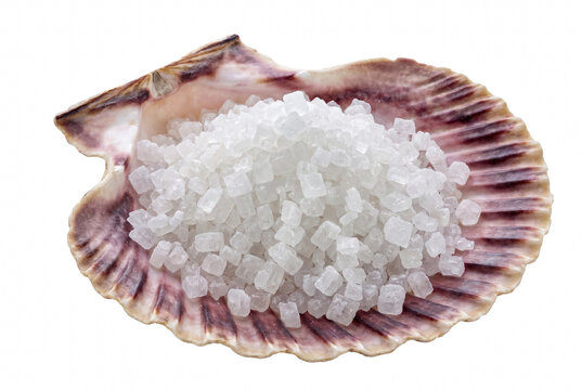 Coarse Sea Salt Crystals Piled Inside a Decorative Scallop Shell