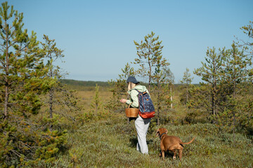 Fototapeta premium Woman backpacker hiking with dog in forest, harvesting wild mushrooms and herbal plants in autumn, slow living and healthy eating, interested female and pet inspecting meadow, searching for food.