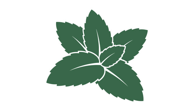 Fresh green mint leaves in a stylized vector graphic cluster isolated on a clean white background for branding.