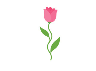Obraz premium Single pink tulip flower vector illustration isolated on white background. Minimalist elegant spring floral element for design