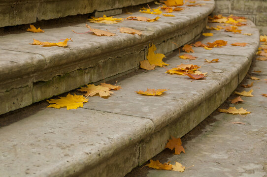 Autumn leaves background. Fallen maple yellow autumn leaves on the old stone street stairs in the city park